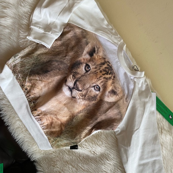 Molo Boy's Esco Lion Cub Graphic Sweatshirt Size 18M Cream, tan, brown - Picture 4 of 8